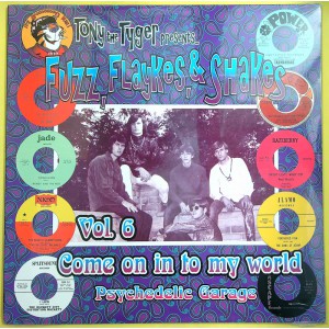 Various FUZZ, FLAYKES, & SHAKES VOL.6: COME ON INTO MY WORLD (Bacchus Archives – BA1178) USA 2002 compilation LP of mid-60s recordings (Garage Rock, Psychedelic Rock)